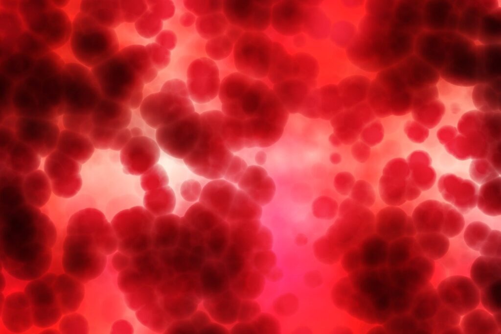 Na obrázku sa nachádzajú červené krvinky (erytrocyty), má vyjadrovať súvis železa a krvi.