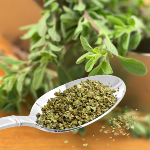 Majorán: Skrytá sila tejto bylinky a jej prínosy pre zdravie