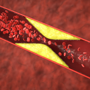 rutín účinky na cievy